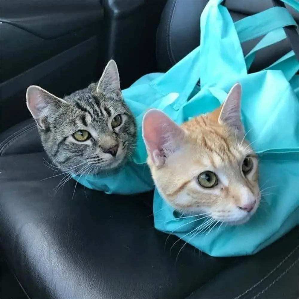 Travel Cat Carrier Pouch – Anti-Scratch Portable Pet Bag