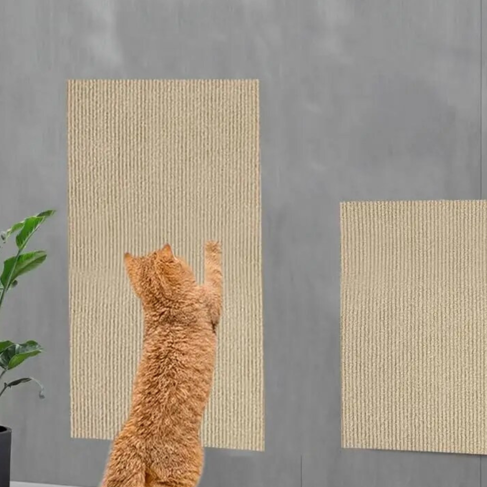 Cat Scratch Couch Guard – Protective Carpet Mat for Furniture