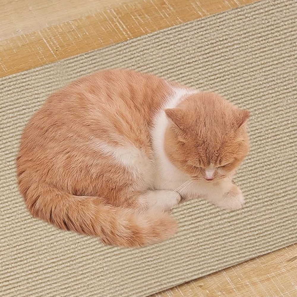 Cat Scratch Couch Guard – Protective Carpet Mat for Furniture