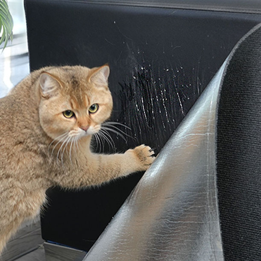 Cat Scratch Couch Guard – Protective Carpet Mat for Furniture